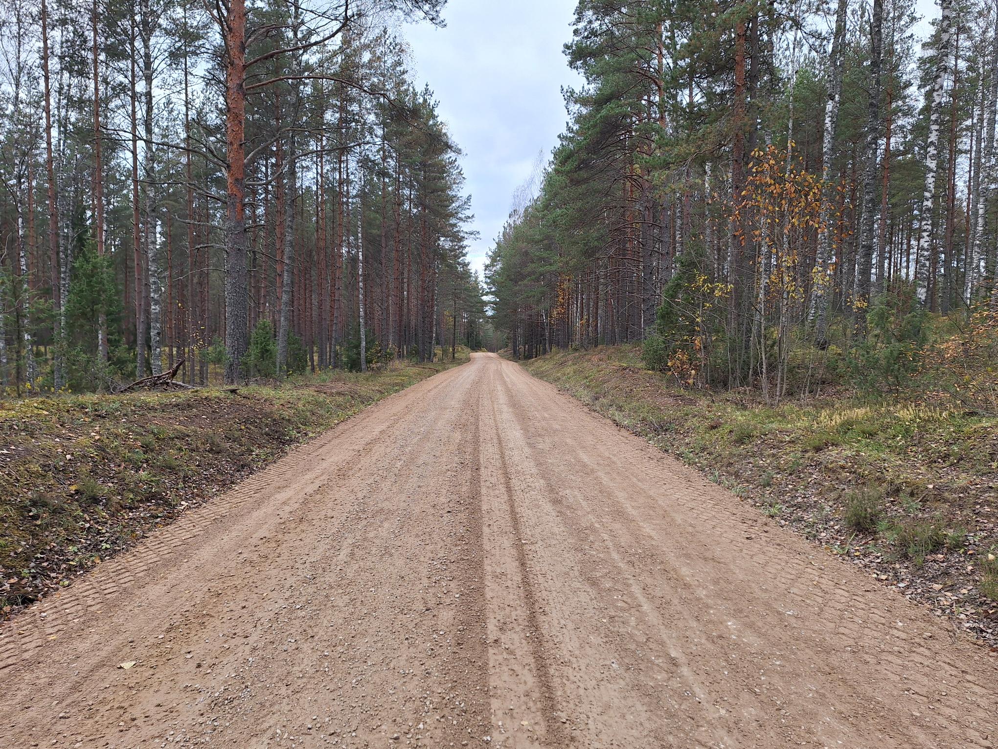 Saatse saapast ümbersõit metsateede kaudu on nüüd varasemast ohutum ja mugavam, sest riigimetsa majandamise keskuse kruusateede laiendamine sai valmis. Vaid loe
