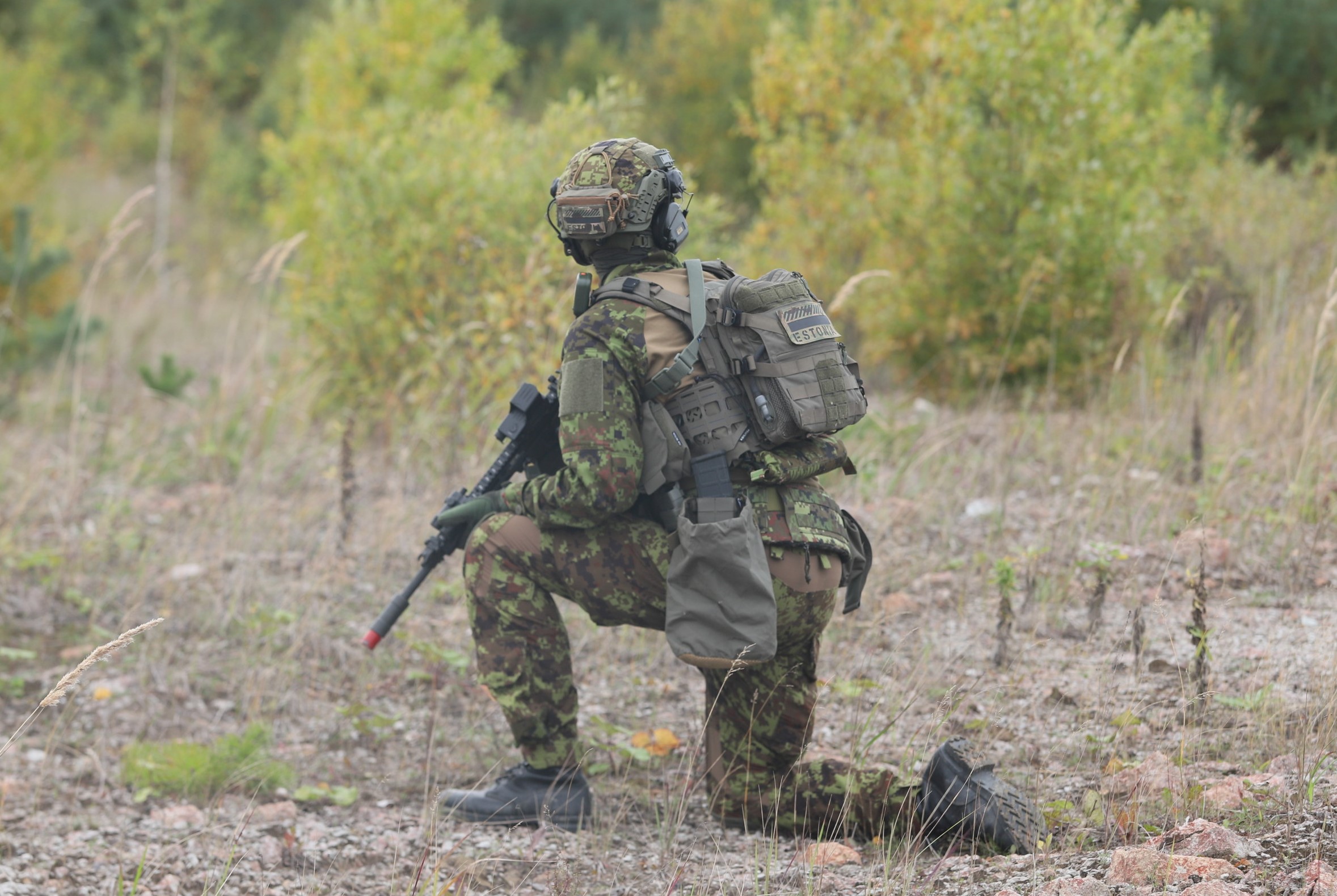 Septembrikuus algas Kaitseliidu Kirde maakaitseringkonnas nooremallohvitseride baaskursus, mille käigus koolitatakse Alutaguse, Jõgeva, Järva ja Viru malevate ü